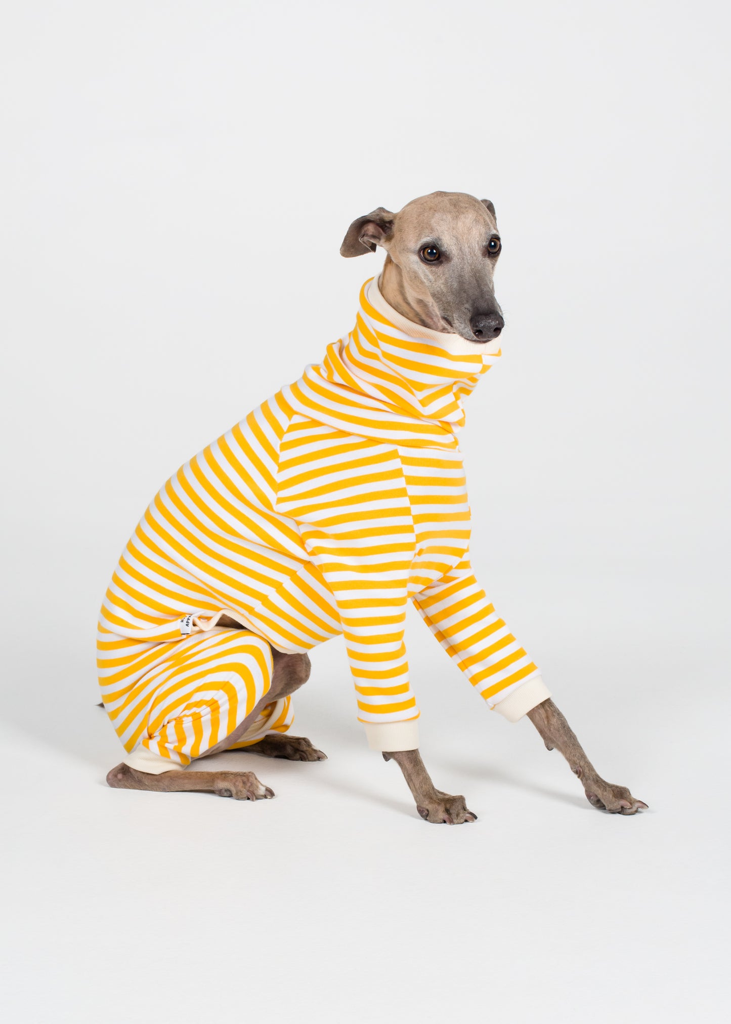 Whippet Pyjama Full Suit - Banana