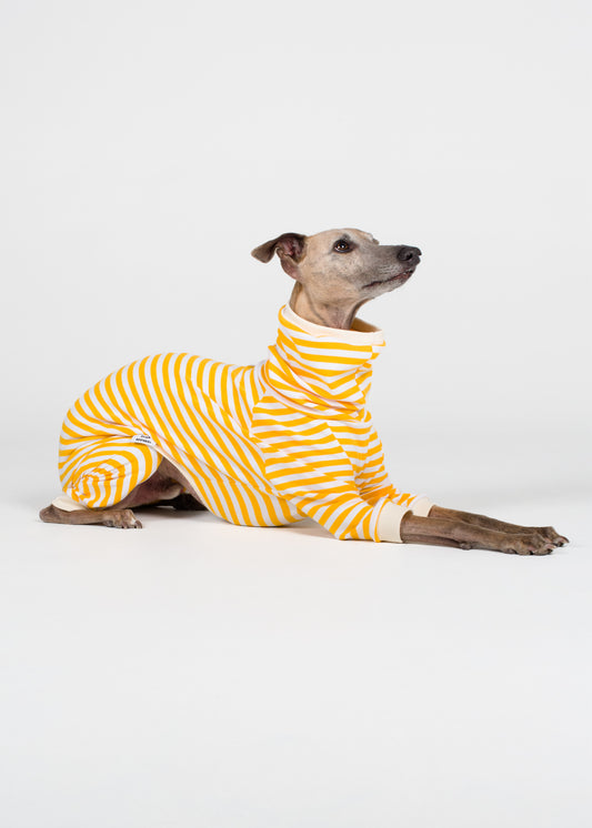 Whippet Pyjama Full Suit - Banana