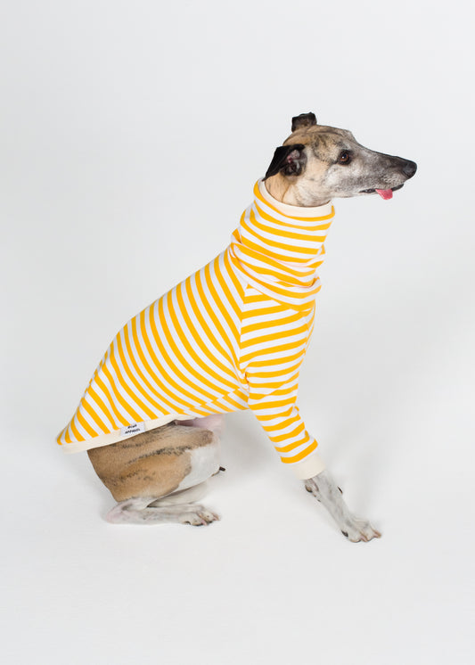 Whippet Pyjama Jumper - Banana