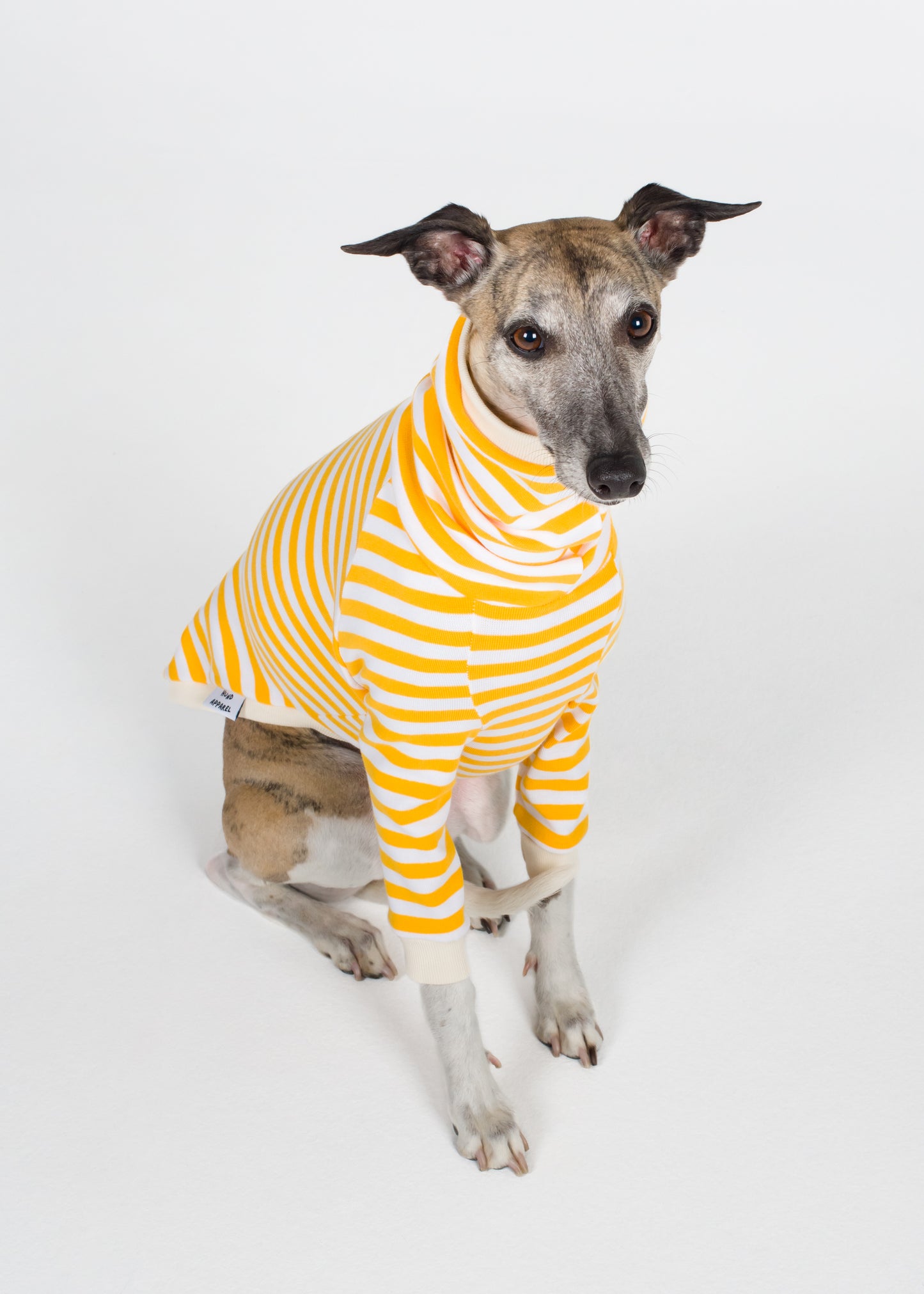 Whippet Pyjama Jumper - Banana