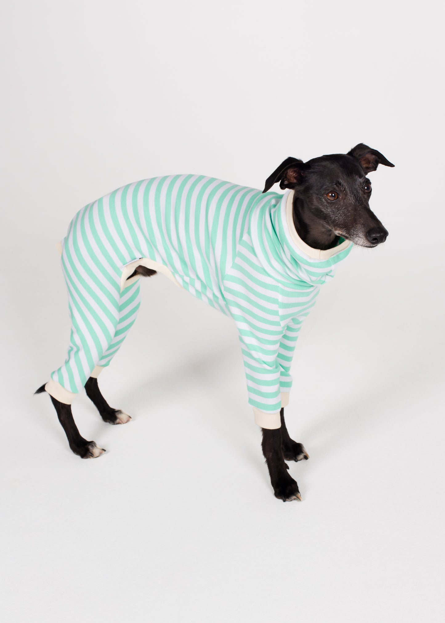 Whippet Pyjama Full Suit - Mint