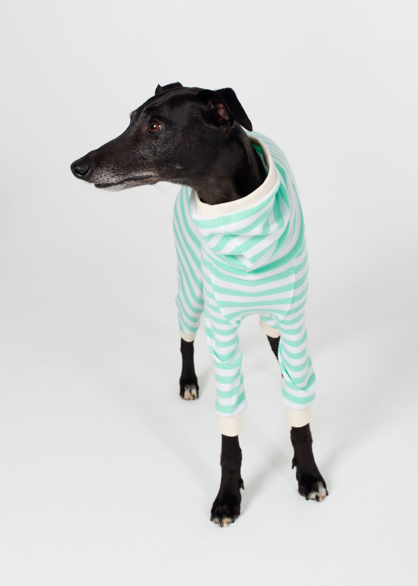 Whippet Pyjama Full Suit - Mint