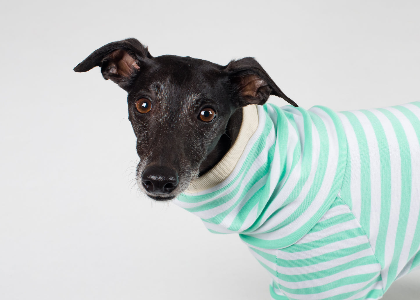 Whippet Pyjama Full Suit - Mint