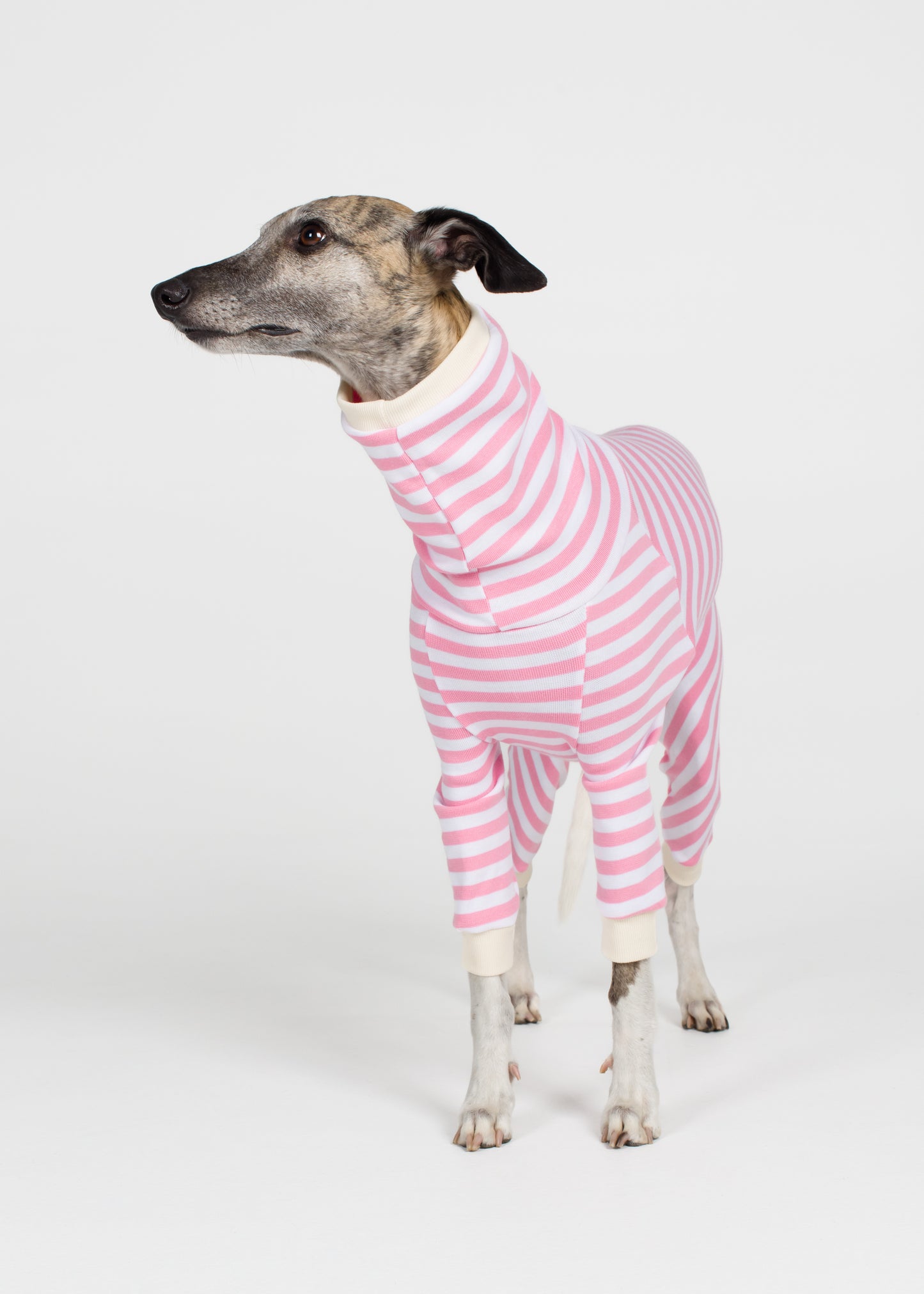 Whippet Pyjama Full Suit - Strawberry