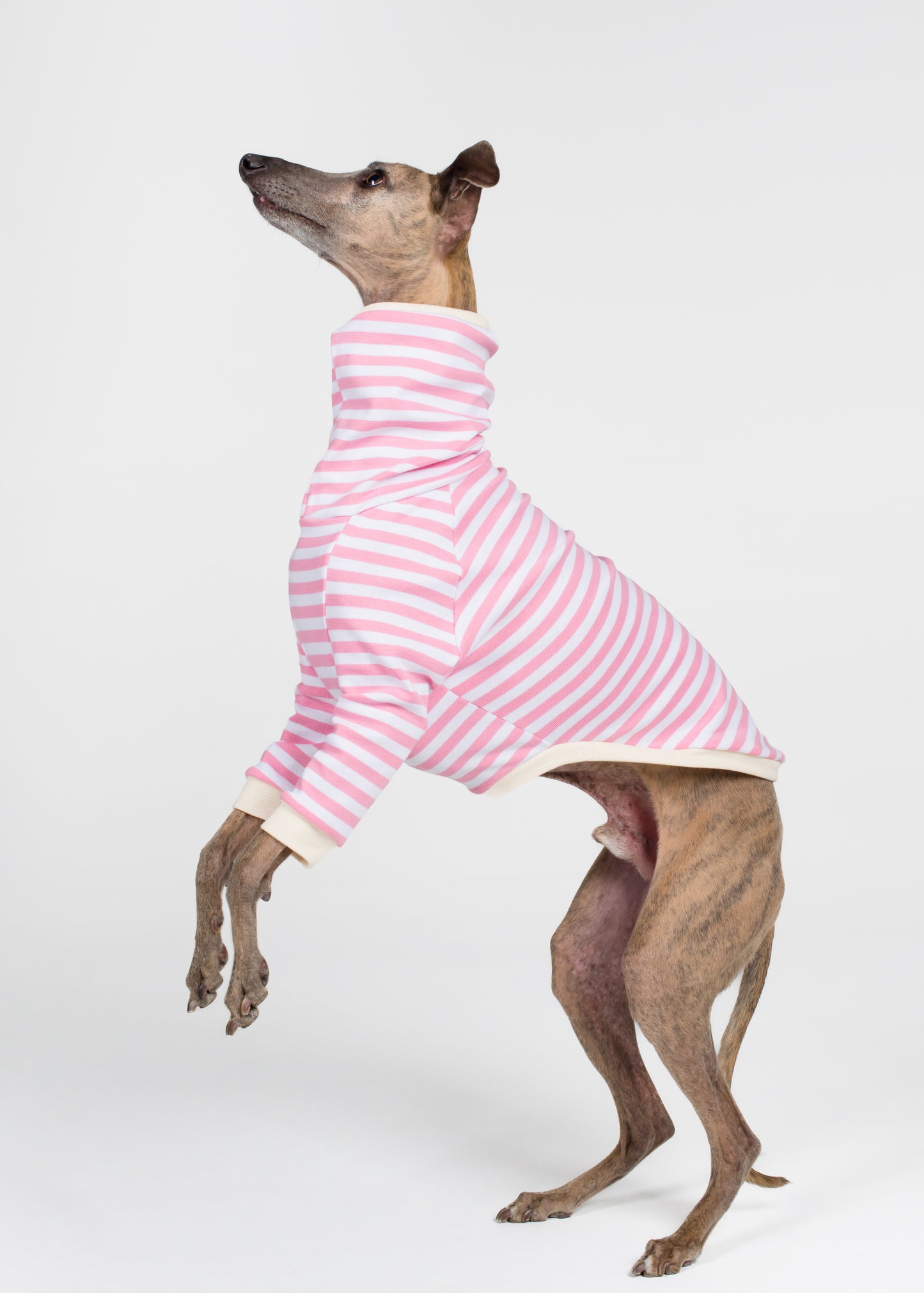 Whippet Pyjama Jumper - Strawberry