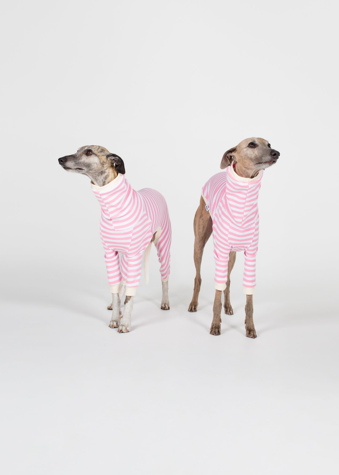 Whippet Pyjama Full Suit - Strawberry