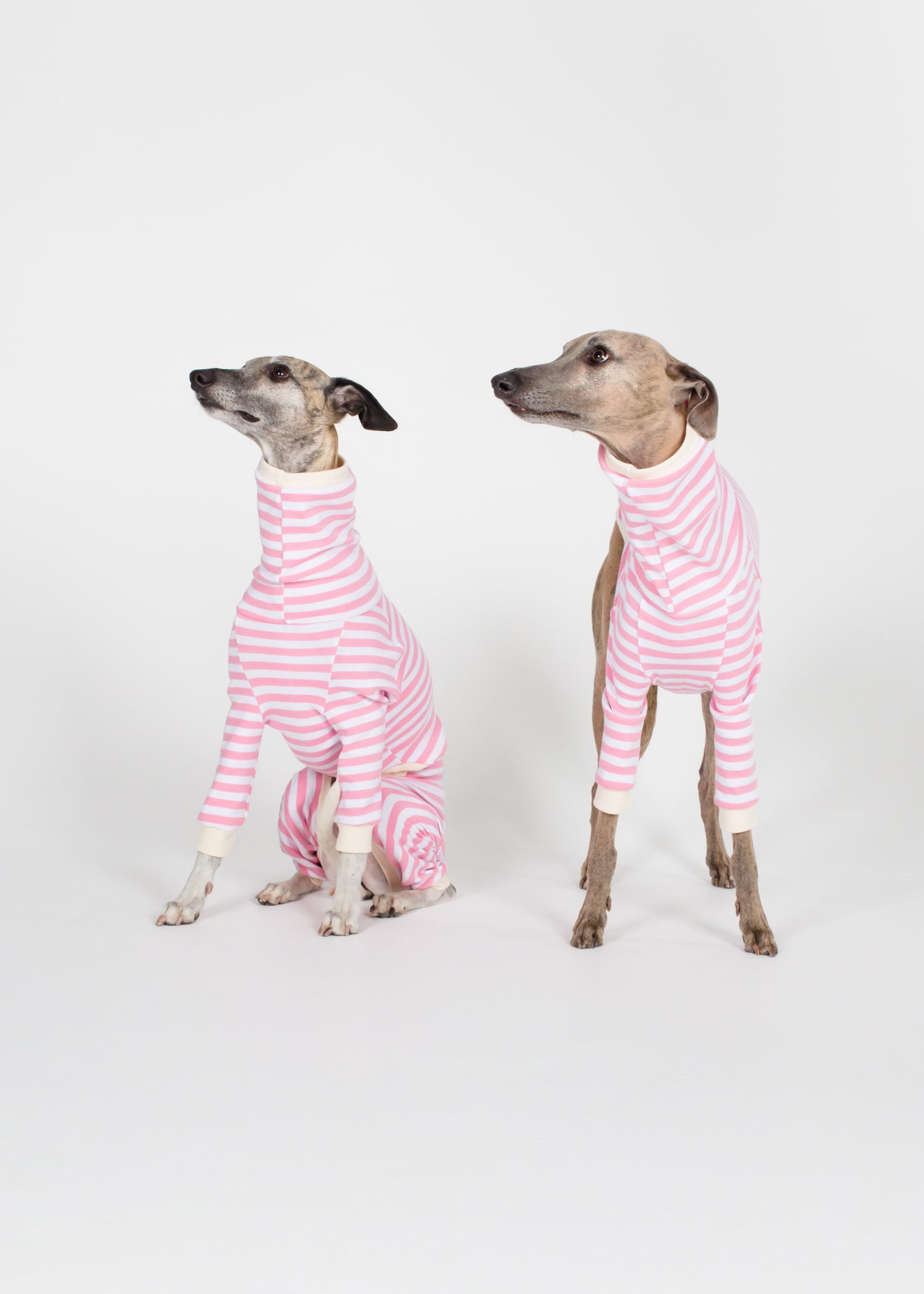 Whippet Pyjama Full Suit - Strawberry