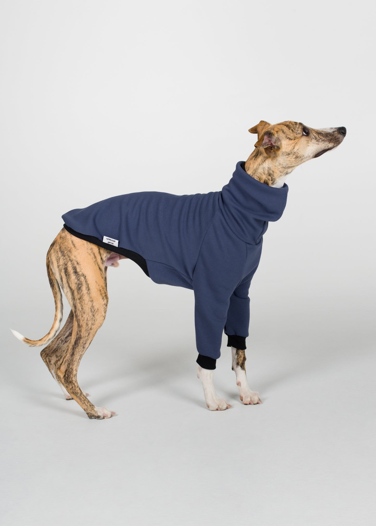 Whippet Winter Jumper - Jeans