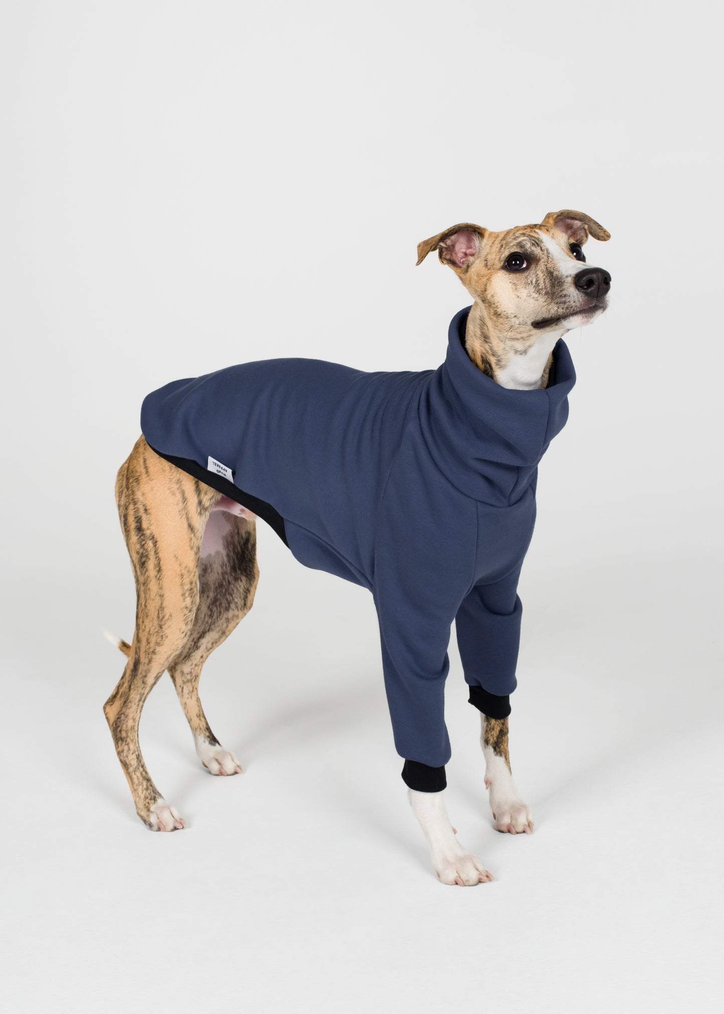 Whippet Winter Jumper - Jeans