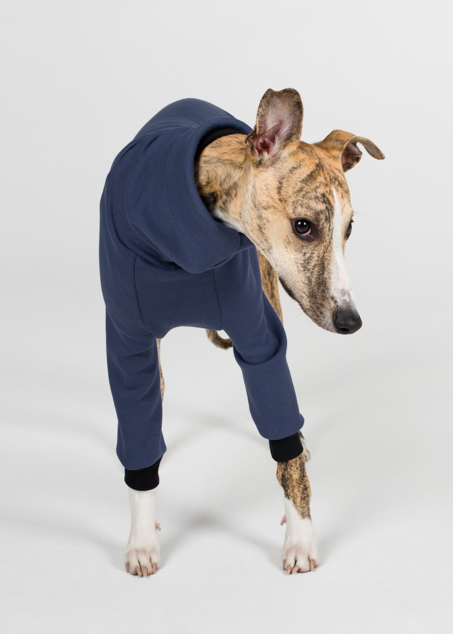 Whippet Winter Jumper - Jeans