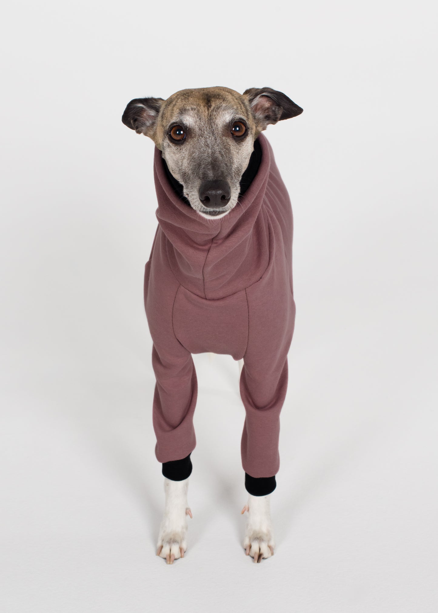 Whippet Winter Jumper - Blush