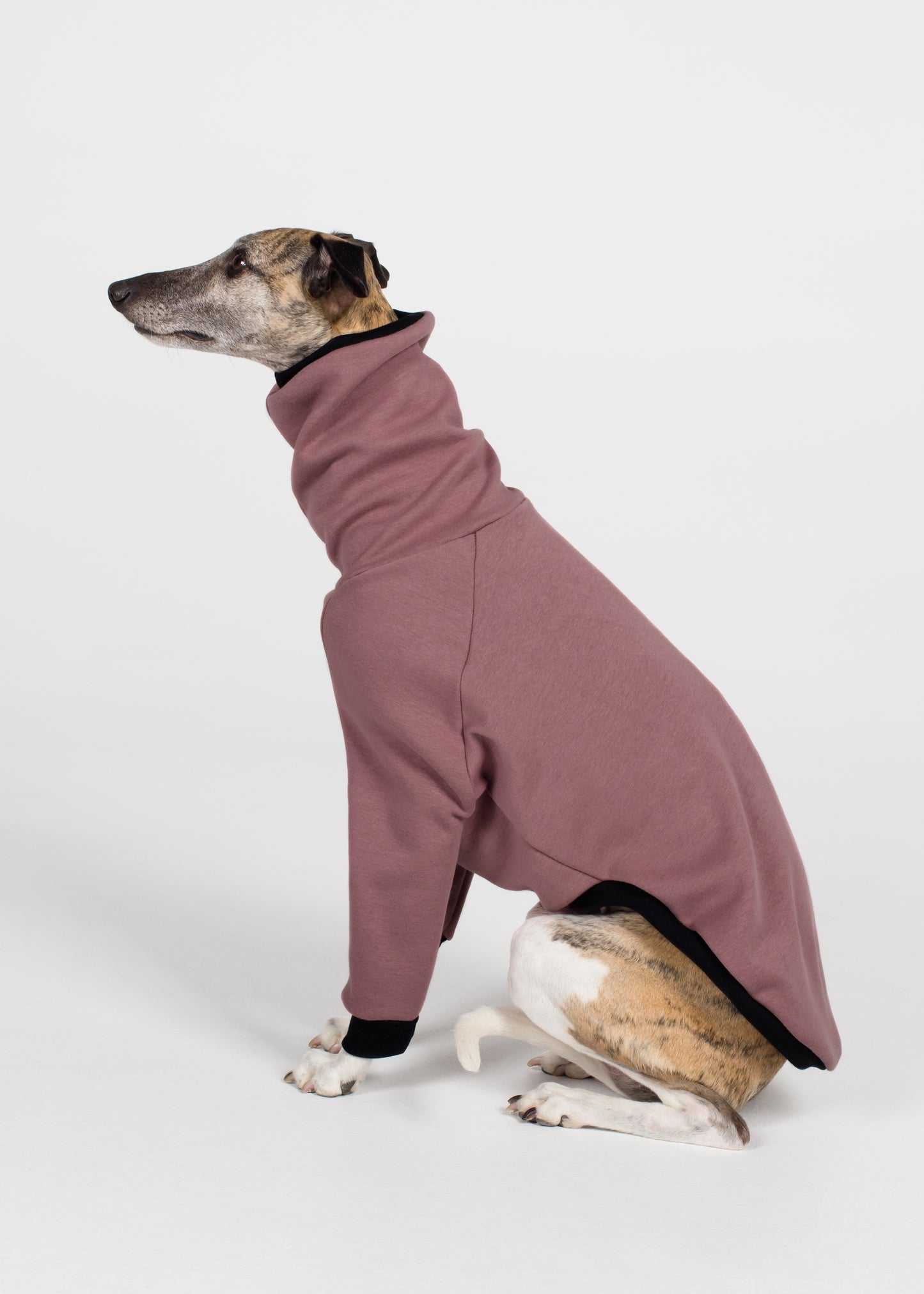 Whippet Winter Jumper - Blush