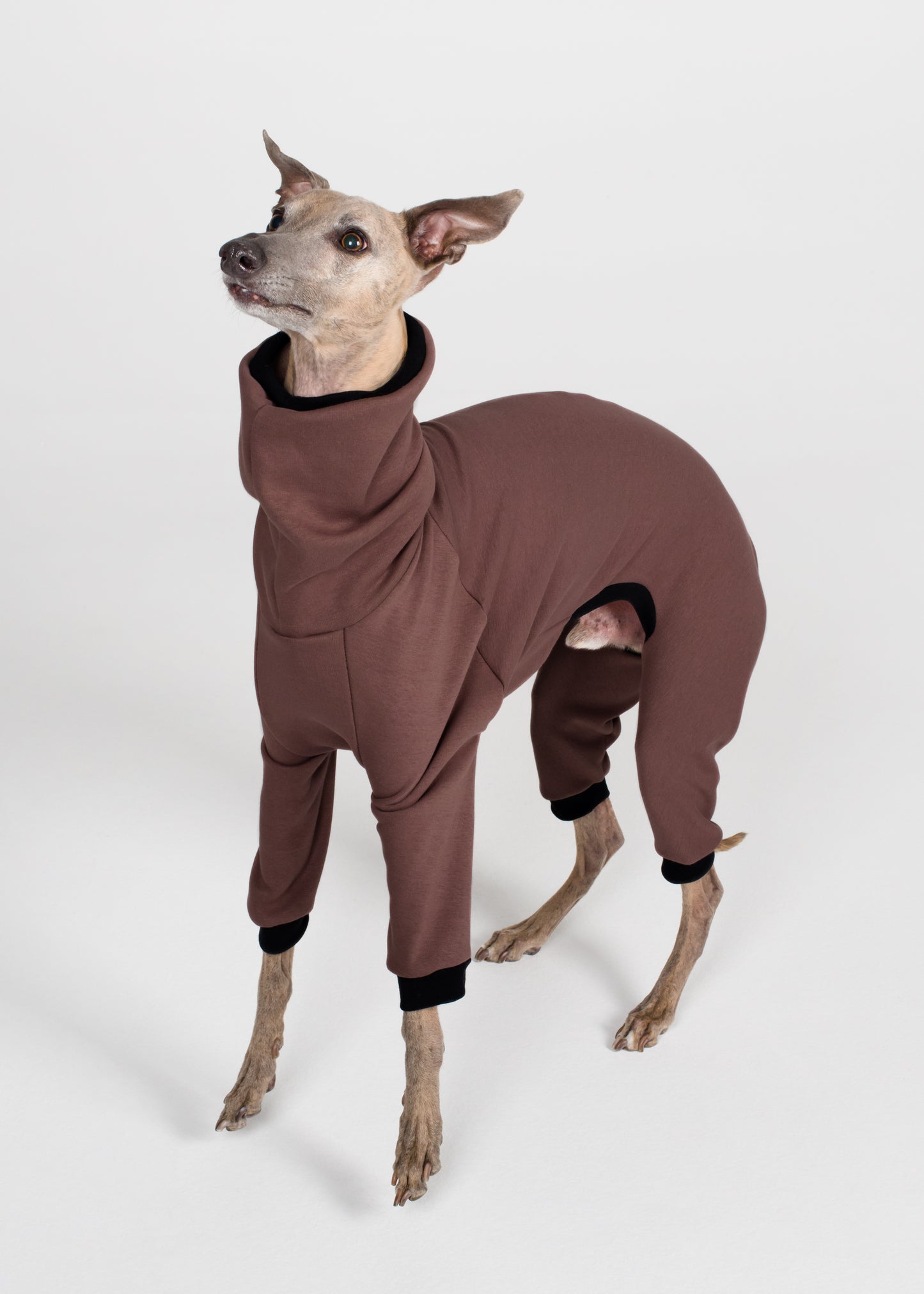 Whippet Winter Full Suit - Cocoa