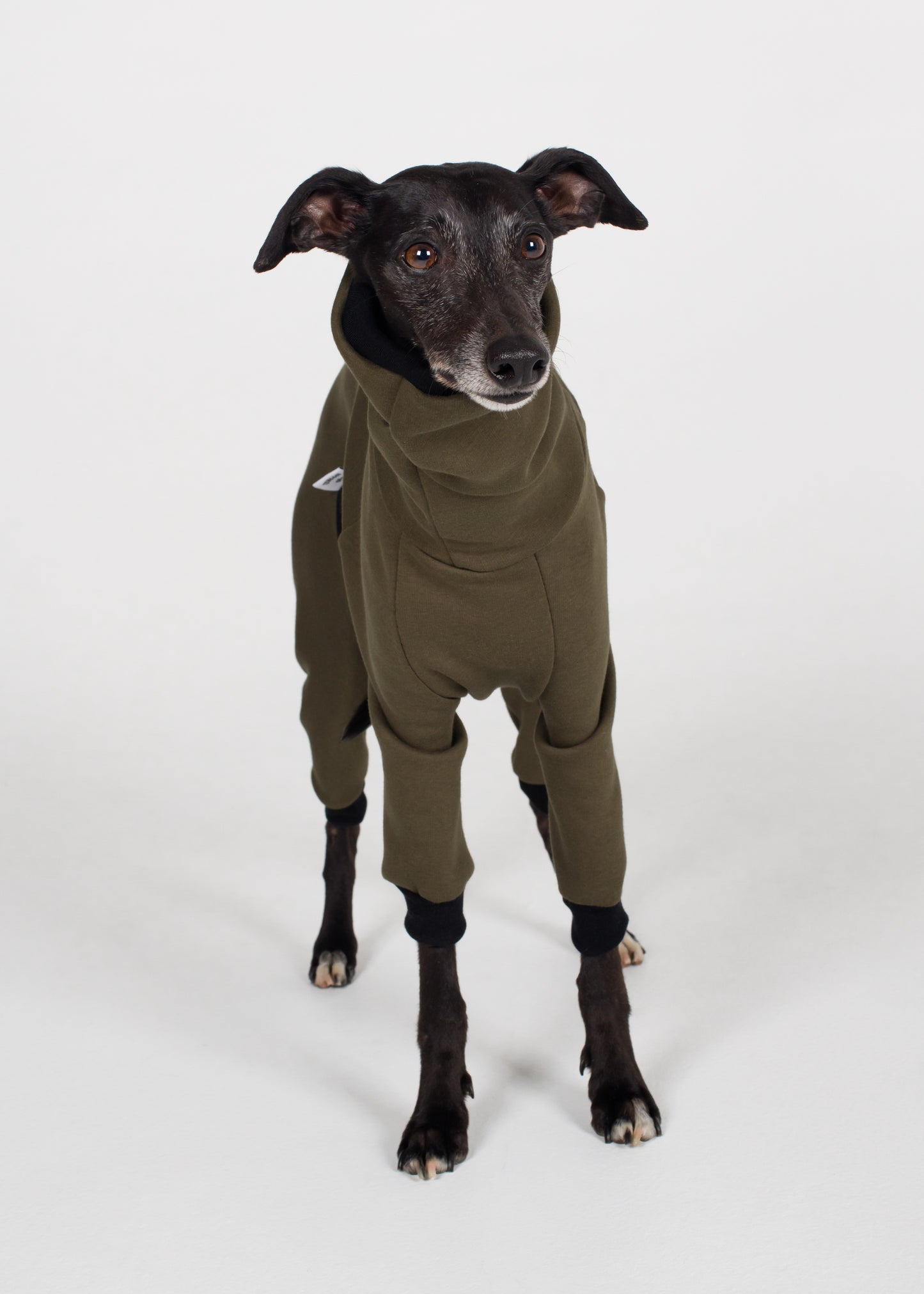 Whippet Winter Full Suit - Khaki