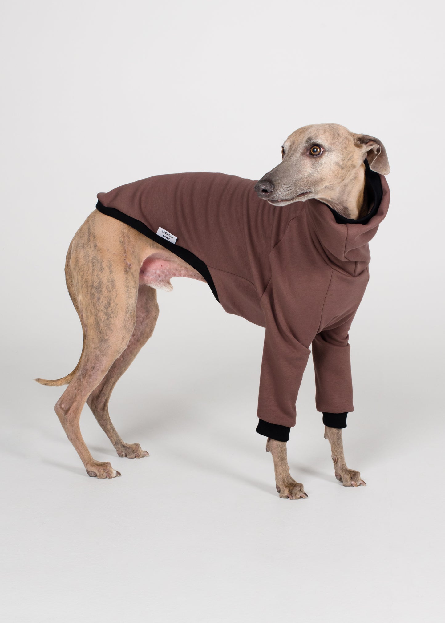 Whippet Winter Jumper - Cocoa