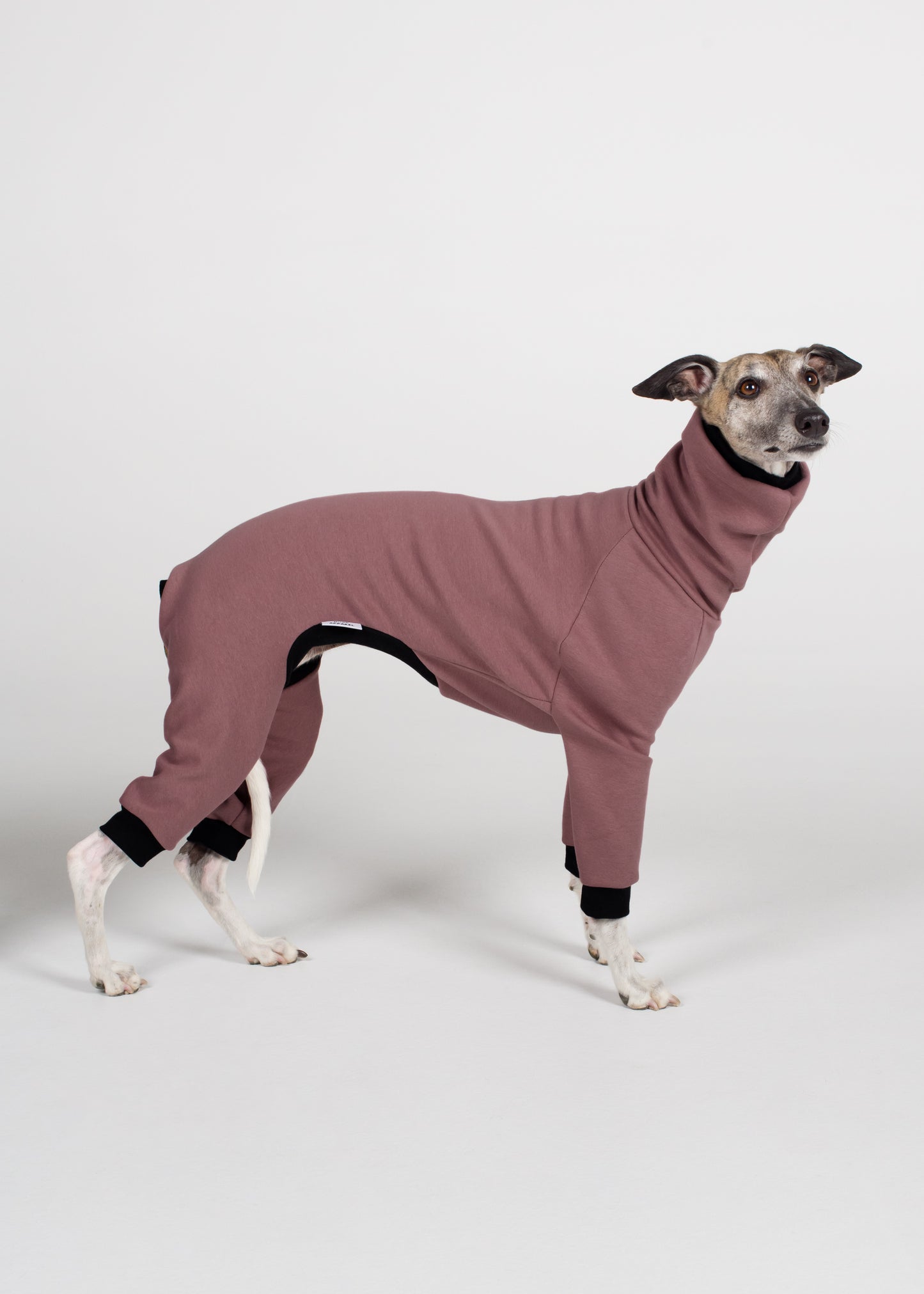 Whippet Winter Full Suit - Blush