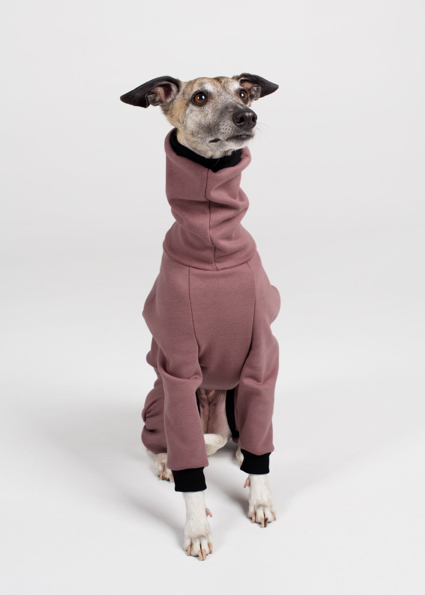 Whippet Winter Full Suit - Blush