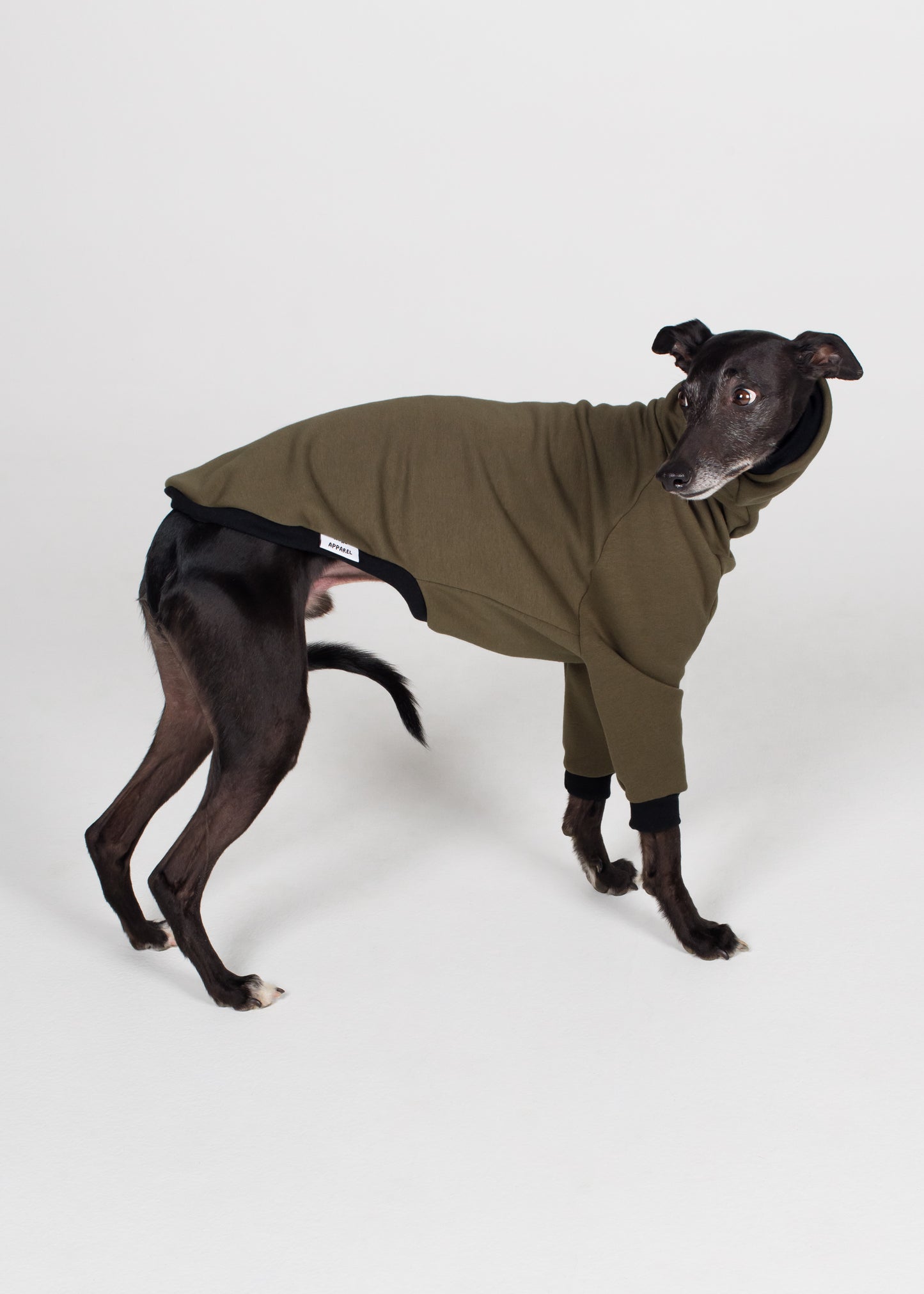 Whippet Winter Jumper - Khaki