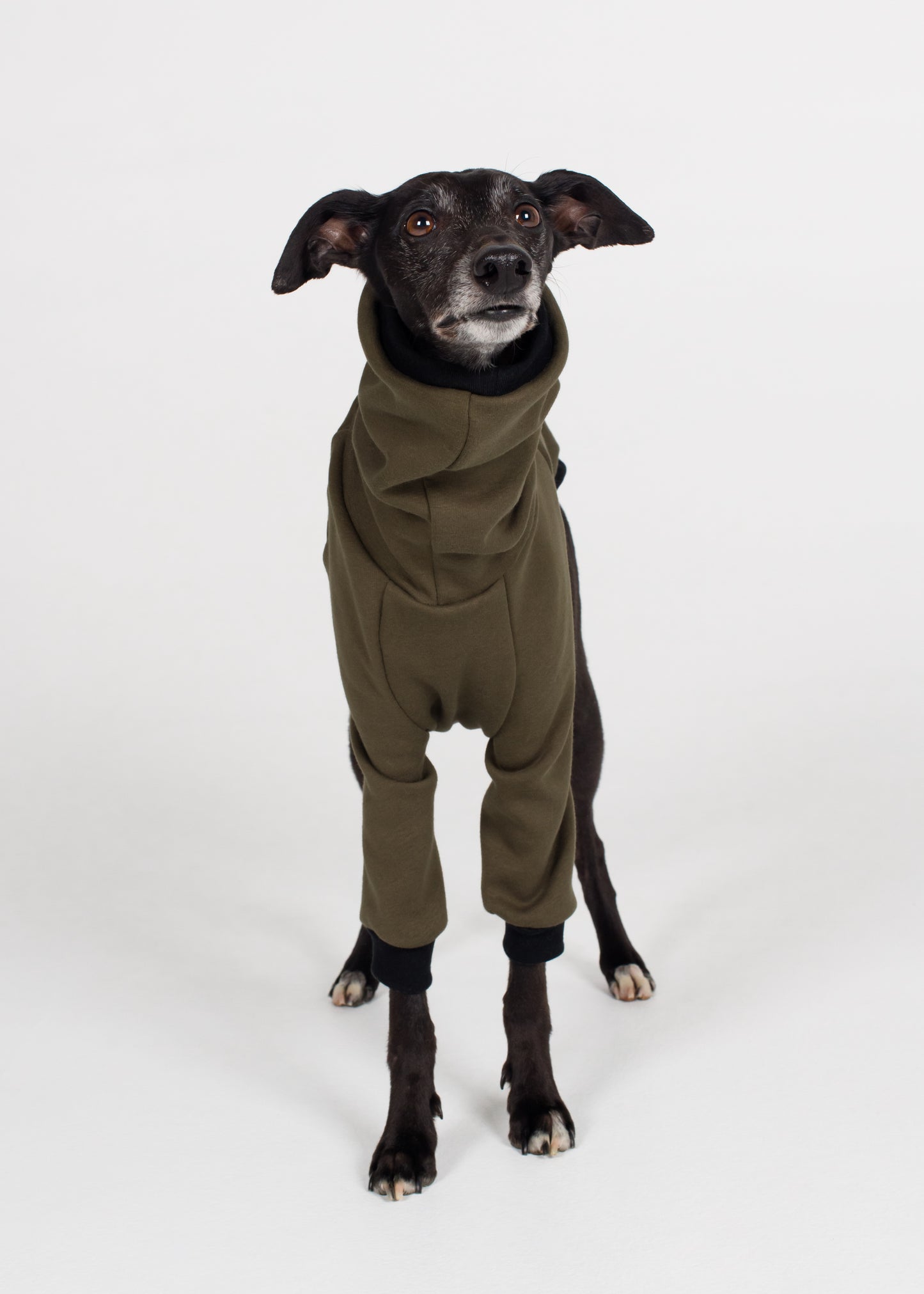 Whippet Winter Jumper - Khaki