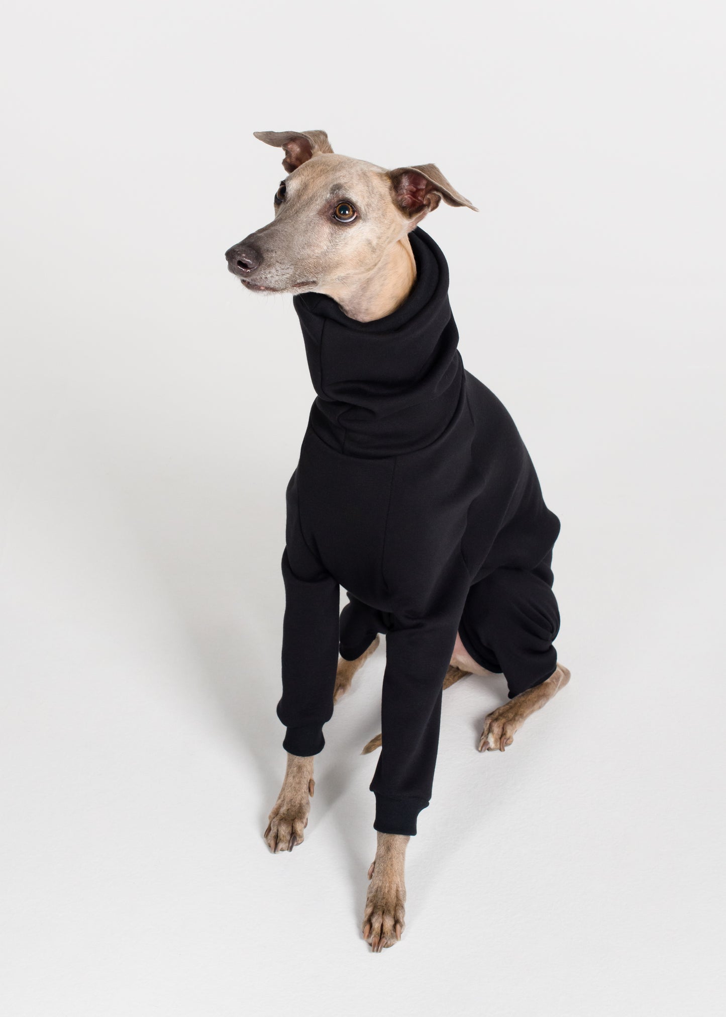 Whippet Winter Full Suit - Black