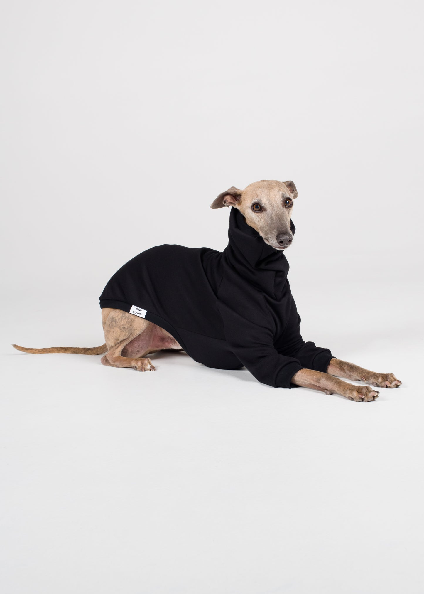 Whippet Winter Jumper - Black