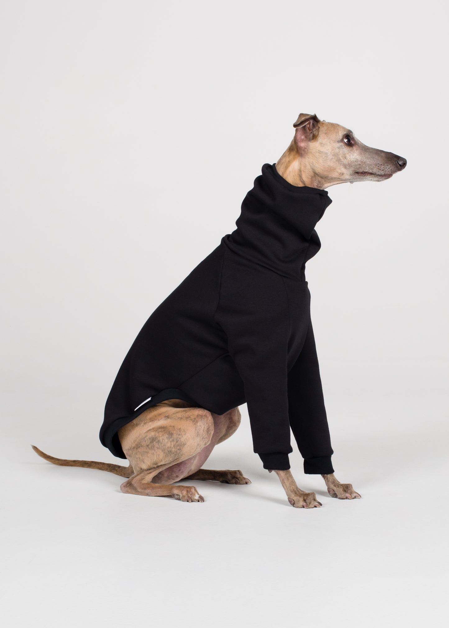 Whippet Winter Jumper - Black